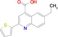 6-ethyl-2-thien-2-ylquinoline-4-carboxylic acid