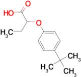 2-(4-tert-butylphenoxy)butanoic acid