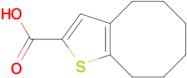 4,5,6,7,8,9-hexahydrocycloocta[b]thiophene-2-carboxylic acid