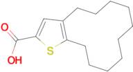 4,5,6,7,8,9,10,11,12,13-decahydrocyclododeca[b]thiophene-2-carboxylic acid