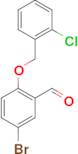 5-bromo-2-[(2-chlorobenzyl)oxy]benzaldehyde