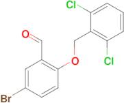 5-bromo-2-[(2,6-dichlorobenzyl)oxy]benzaldehyde