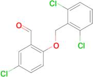 5-chloro-2-[(2,6-dichlorobenzyl)oxy]benzaldehyde