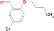 5-Bromo-2-n-butoxybenzaldehyde