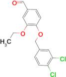 4-[(3,4-dichlorobenzyl)oxy]-3-ethoxybenzaldehyde