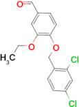 4-[(2,4-dichlorobenzyl)oxy]-3-ethoxybenzaldehyde