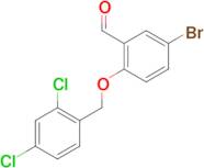 5-bromo-2-[(2,4-dichlorobenzyl)oxy]benzaldehyde