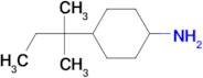 4-(1,1-dimethylpropyl)cyclohexanamine