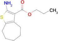 propyl 2-amino-5,6,7,8-tetrahydro-4H-cyclohepta[b]thiophene-3-carboxylate