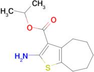 isopropyl 2-amino-5,6,7,8-tetrahydro-4H-cyclohepta[b]thiophene-3-carboxylate