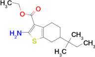 ethyl 2-amino-6-(1,1-dimethylpropyl)-4,5,6,7-tetrahydro-1-benzothiophene-3-carboxylate