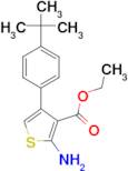 Ethyl 2-amino-4-(4-tert-butylphenyl)thiophene-3-carboxylate