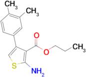 propyl 2-amino-4-(3,4-dimethylphenyl)thiophene-3-carboxylate