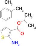 isopropyl 2-amino-4-(3,4-dimethylphenyl)thiophene-3-carboxylate
