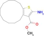 methyl 2-amino-4,5,6,7,8,9,10,11,12,13-decahydrocyclododeca[b]thiophene-3-carboxylate