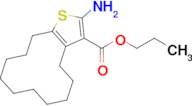 propyl 2-amino-4,5,6,7,8,9,10,11,12,13-decahydrocyclododeca[b]thiophene-3-carboxylate