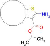 isopropyl 2-amino-4,5,6,7,8,9,10,11,12,13-decahydrocyclododeca[b]thiophene-3-carboxylate