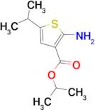 isopropyl 2-amino-5-isopropylthiophene-3-carboxylate