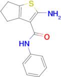 2-amino-N-phenyl-5,6-dihydro-4H-cyclopenta[b]thiophene-3-carboxamide