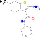 2-amino-6-methyl-N-phenyl-4,5,6,7-tetrahydro-1-benzothiophene-3-carboxamide