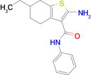 2-amino-6-ethyl-N-phenyl-4,5,6,7-tetrahydro-1-benzothiophene-3-carboxamide