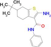 2-amino-6-tert-butyl-N-phenyl-4,5,6,7-tetrahydro-1-benzothiophene-3-carboxamide