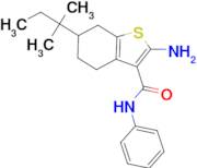 2-amino-6-(1,1-dimethylpropyl)-N-phenyl-4,5,6,7-tetrahydro-1-benzothiophene-3-carboxamide