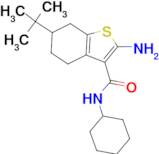 2-amino-N-cyclohexyl-6-tert-butyl-4,5,6,7-tetrahydro-1-benzothiophene-3-carboxamide