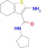 2-amino-N-cyclopentyl-4,5,6,7-tetrahydro-1-benzothiophene-3-carboxamide