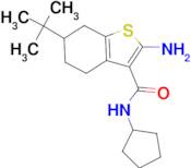 2-amino-6-tert-butyl-N-cyclopentyl-4,5,6,7-tetrahydro-1-benzothiophene-3-carboxamide