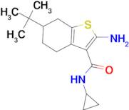 2-amino-6-tert-butyl-N-cyclopropyl-4,5,6,7-tetrahydro-1-benzothiophene-3-carboxamide