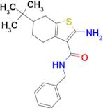 2-amino-N-benzyl-6-tert-butyl-4,5,6,7-tetrahydro-1-benzothiophene-3-carboxamide