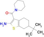 6-tert-butyl-3-(piperidin-1-ylcarbonyl)-4,5,6,7-tetrahydro-1-benzothien-2-ylamine