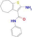 2-amino-N-phenyl-5,6,7,8-tetrahydro-4H-cyclohepta[b]thiophene-3-carboxamide