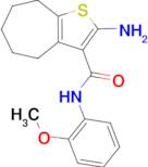 2-amino-N-(2-methoxyphenyl)-5,6,7,8-tetrahydro-4H-cyclohepta[b]thiophene-3-carboxamide