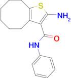 2-amino-N-phenyl-4,5,6,7,8,9-hexahydrocycloocta[b]thiophene-3-carboxamide