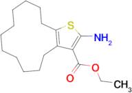 ethyl 2-amino-4,5,6,7,8,9,10,11,12,13,14,15-dodecahydrocyclododeca[b]thiophene-3-carboxylate