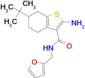 2-amino-6-tert-butyl-N-(2-furylmethyl)-4,5,6,7-tetrahydro-1-benzothiophene-3-carboxamide