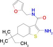 2-amino-6-(1,1-dimethylpropyl)-N-(2-furylmethyl)-4,5,6,7-tetrahydro-1-benzothiophene-3-carboxamide