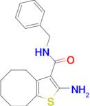2-amino-N-benzyl-4,5,6,7,8,9-hexahydrocycloocta[b]thiophene-3-carboxamide