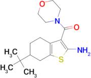 6-tert-butyl-3-(morpholin-4-ylcarbonyl)-4,5,6,7-tetrahydro-1-benzothien-2-ylamine