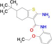 2-amino-N-(2-ethoxyphenyl)-tert-butyl-4,5,6,7-tetrahydro-1-benzothiophene-3-carboxamide