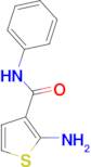 2-amino-N-phenylthiophene-3-carboxamide