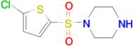 1-[(5-chlorothien-2-yl)sulfonyl]piperazine