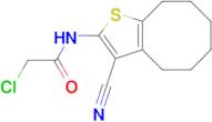 2-chloro-N-(3-cyano-4,5,6,7,8,9-hexahydrocycloocta[b]thien-2-yl)acetamide