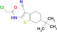 N-(6-tert-butyl-3-cyano-4,5,6,7-tetrahydro-1-benzothien-2-yl)-2-chloroacetamide