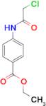 ethyl 4-[(chloroacetyl)amino]benzoate