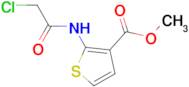 methyl 2-[(chloroacetyl)amino]thiophene-3-carboxylate