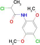 2-chloro-N-(4-chloro-2,5-dimethoxyphenyl)propanamide