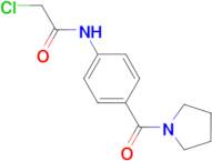 2-chloro-N-[4-(pyrrolidin-1-ylcarbonyl)phenyl]acetamide